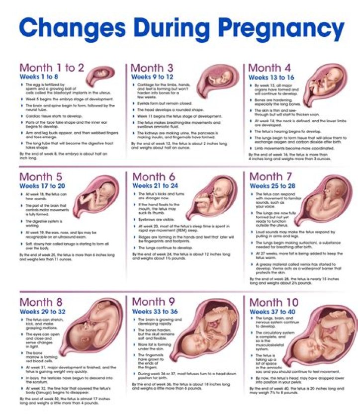 An In-Depth Exploration Of Her Pregnancy Journey And Its Impact