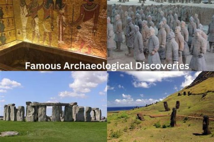 Discoveries And Insights From Atticus Mitchell