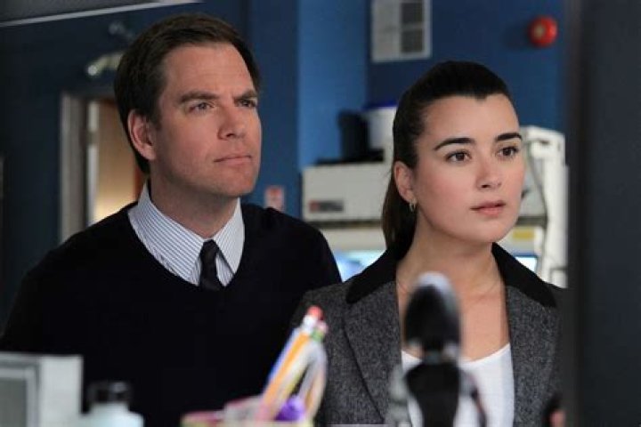 Uncovering The Enduring Chemistry Of Cote De Pablo And Michael Weatherly