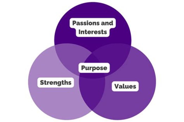 Unveiling Values, Interests, And More